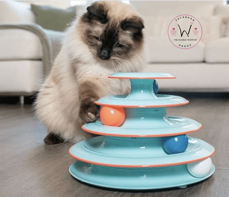 Cat Chase Meowtain Toy!